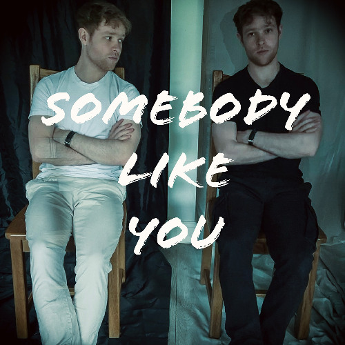 Somebody Like You