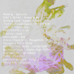DISC(LIMB0) <DJset/>