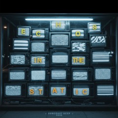 Echos In The Static