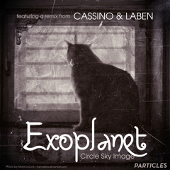 Cat On The Moon (Original Mix)