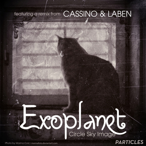 Cat On The Moon (Original Mix)