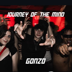 Journey of the Mind