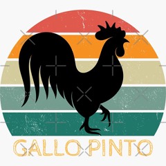 Gallo Pinto Power: Nicaragua Mix 3