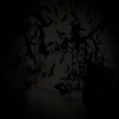youmakemesick (lietus)