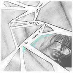 ИNSТRИNNA&ZANЯТЫM + JDFLAG FLIP