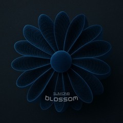 SLIM DNB - BLOSSOM
