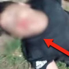 [Último vídeo 18++] marlyson belfort vídeo partido no meio portal zacarias diogo jota accidente fotos telegram x twitter