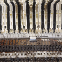 10-31 tucan (october 2025)