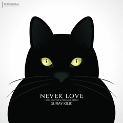 Guray Kilic - Never Love (Original Mix)