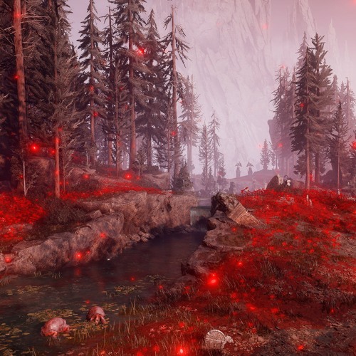 Elden Ring: Shadow Of The Erdtree - The Fringe