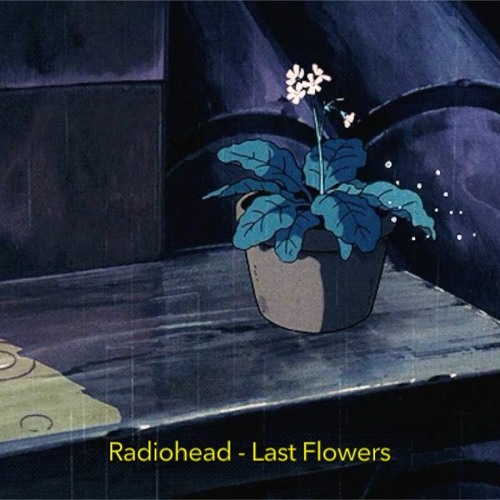 Stream Radiohead Last Flowers (Lofi Remix) by Yung Sebastian Listen