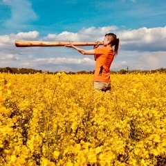 In the Wilderness No 7 & Video Link