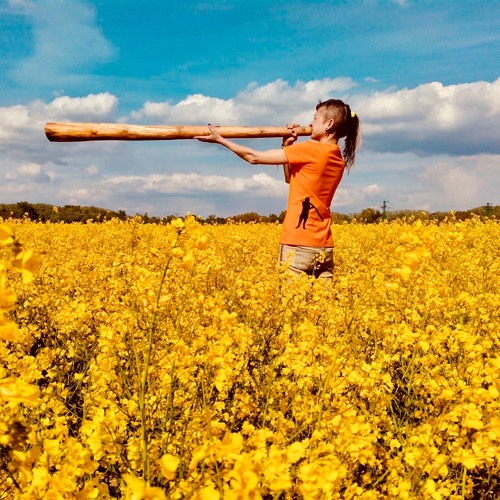 In the Wilderness No 7 & Video Link