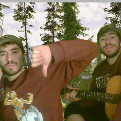 I Just Need The WOOD And My Guitar