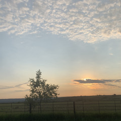 Crow dogs paradise 2k24 part1|part2