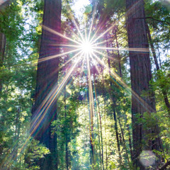 Zion I - Sunshine beats and rhymes mashup