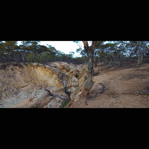 2023.08.05 Reverberant Bleating. Dry Creek. Night. Late Winter.