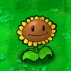 brighter side of things