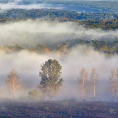 لأستئصال best background music 💞FREE DOWNLOAD