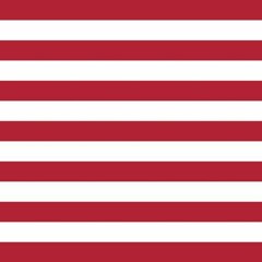 USA By MC THATCHER