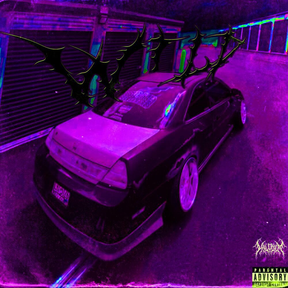 ValodeR,SMXKYDOG- Wild