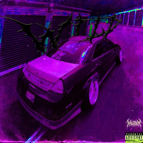 ValodeR,SMXKYDOG- Wild