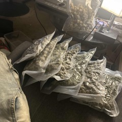 What we had