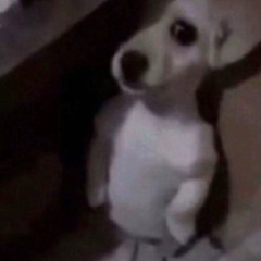 2IN1 DANG CAY TUOI DOI MUOI ReMix