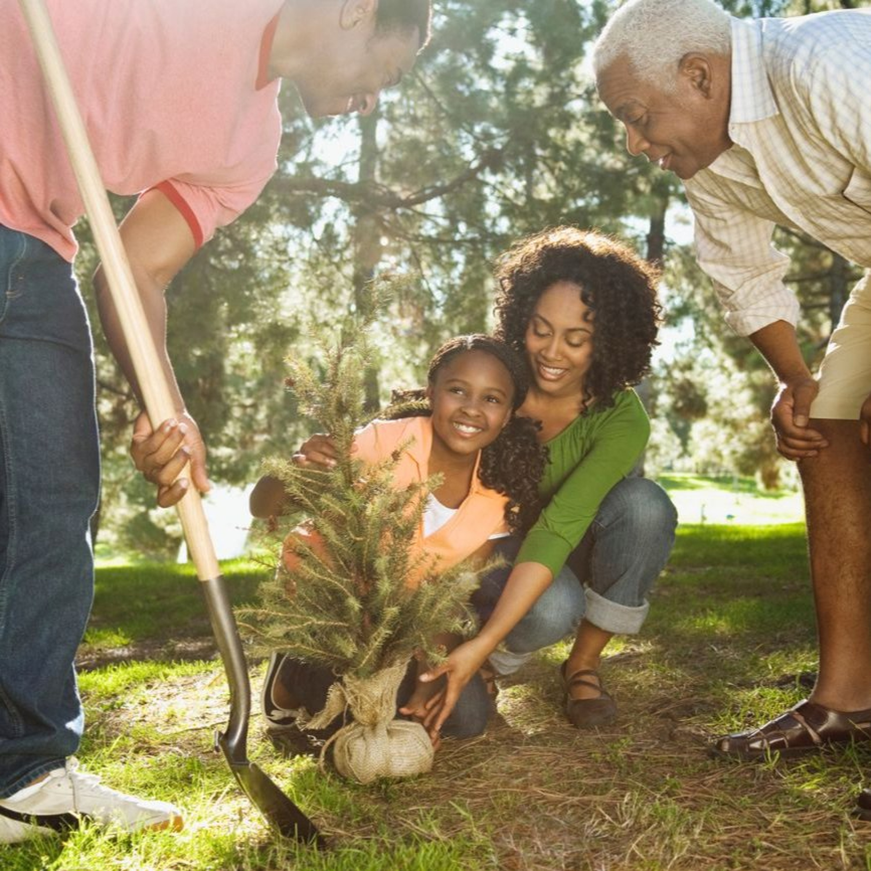 Best of Awake in the World: Taking Care of Ourselves, Taking Care of the World