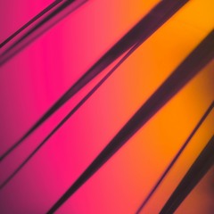 Techhouse Energy Surge