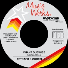 DKR312B - Tetrack - Chant Dubwise