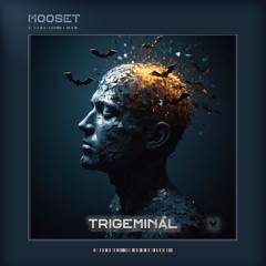 Trigeminal
