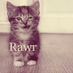 meow meow meow meowwwww prod.Ssippa