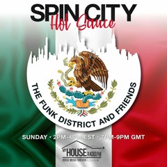 The Funk District & The Velvet Stripes - Hot Sauce - Spin City