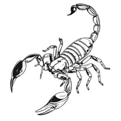 Scorpion