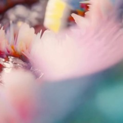 Flume - Palaces (Maya Edit)