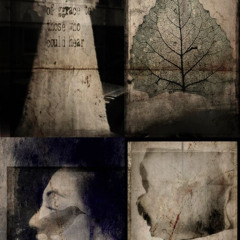 Мир такой какой есть