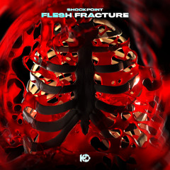 Shockpoint- Flesh Fracture