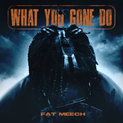 What You Gone Do (Prod. Teezy) Instagram @TheRealFatMeech