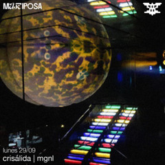 MGNL - Crisálida