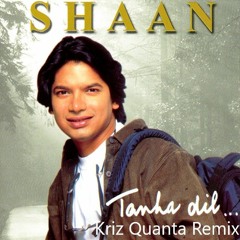Shaan -Tanha Dil ( Kriz Quanta Remix )