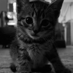 18 May 2025 / techno mix