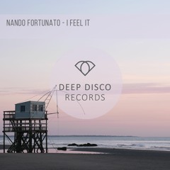 Nando Fortunato - Feel It