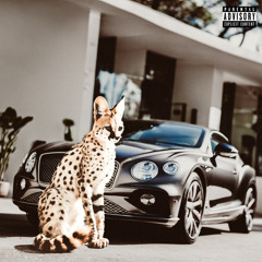 Virago (prod. xXdreadpirateXx)