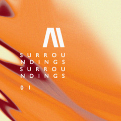 Surroundings 01