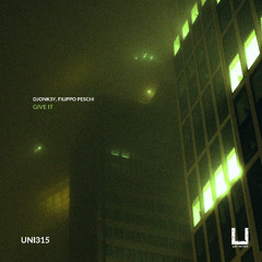 Djonk3y, Filippo Peschi - Possession (Original Mix) [UNITY RECORDS]