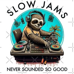DJ GENIUS PRESENTS  MONSTER HITS  SLOW JAMS  PT 1.mp3