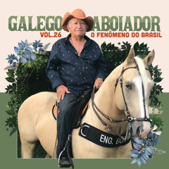 Homenagem a Pedrinho Vaqueiro
