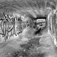 tunnel vision [ onexvn ]