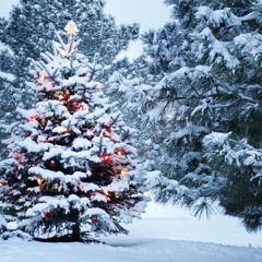 Winter Luvin' (Christmas R&B | Pop Mix)